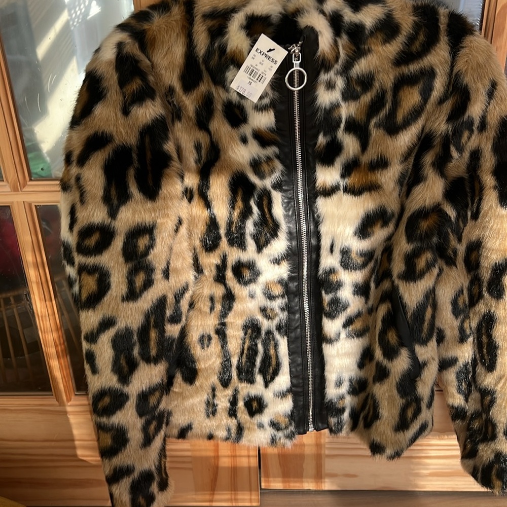 Express Coat- never worn. - Picture 3 of 4